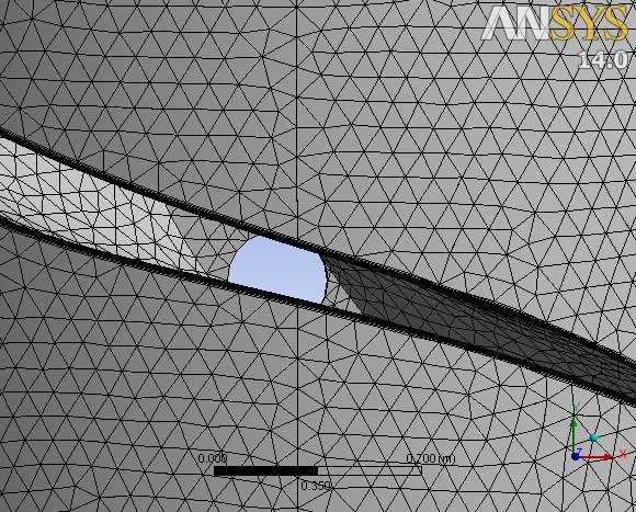 Close-up of the unstructured CFX mesh with a ten-layer boundary-layer inflation region at the Kaplan blade leading edge